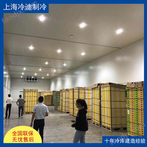 食品廠大型冷庫的安裝造價、設計與軟件開發全解析